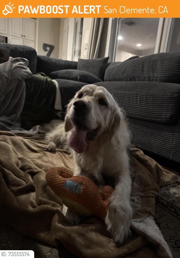 Found/Stray Male Dog last seen via malaga, San Clemente, CA 92673