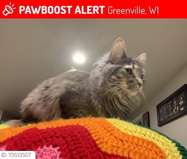 Lost Female Cat last seen Municipal Dr, Bonaventure Terrace, Telfair Dr, Ellis Ct, Alexandra Way, Greenville, WI 54942