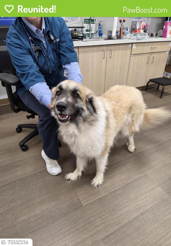 Reunited Female Dog last seen Denver and N East Park View, Park City, KS 67219