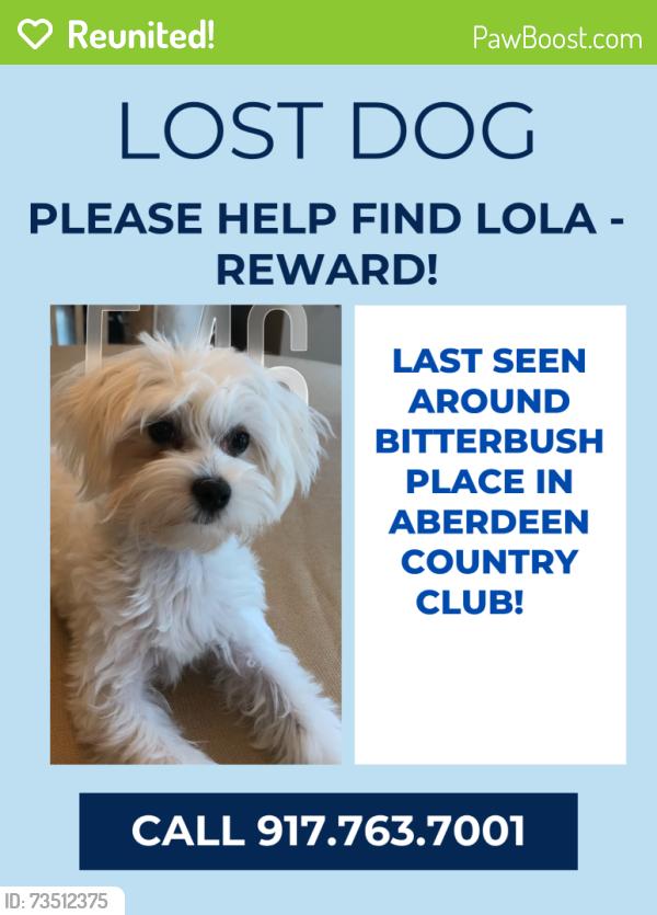 Reunited Female Dog last seen Allspice and La Chalet, Boynton Beach, FL 33472