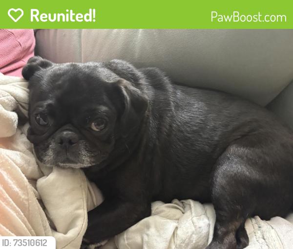 Reunited Female Dog last seen Near Floyd Hampton Rd, Crowley, TX 76036, USA, Crowley, TX 76036