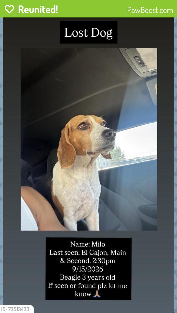 Reunited Male Dog last seen Second street, El Cajon, CA 92021