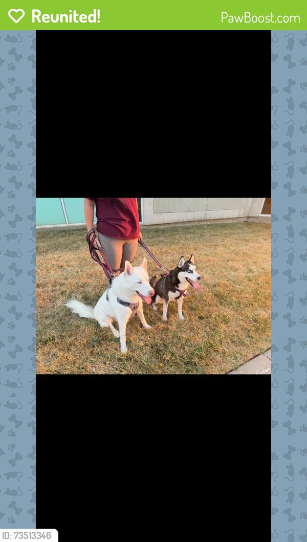 Reunited Female Dog last seen Near Derrick Cir, Wichita, KS 67207, USA, Wichita, KS 67207
