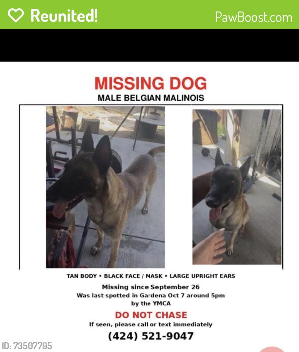 Reunited Male Dog last seen Near W 152nd St, Gardena, CA 90249, USA, Gardena, CA 90249