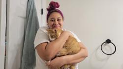 Reunited Male Cat last seen Stone River Rd., Twilight Lane, Elkhart Rd., Dusk Ct., Surrywood, S. Providence Rd., Richmond, VA 23235