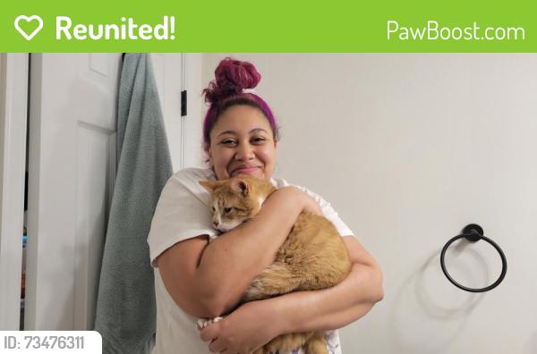 Reunited Male Cat last seen Stone River Rd., Twilight Lane, Elkhart Rd., Dusk Ct., Surrywood, S. Providence Rd., Richmond, VA 23235