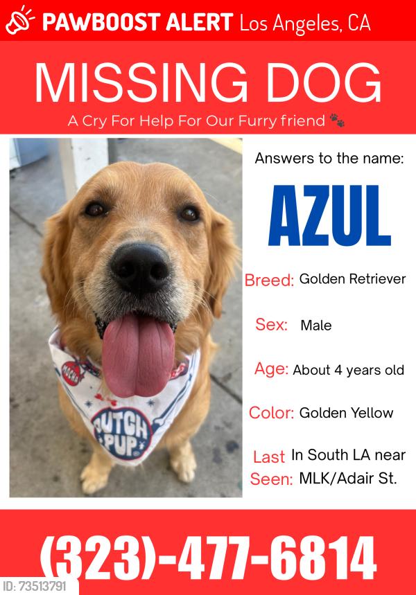 Lost Male Dog last seen Martin Luther King and Adair St, Los Angeles, CA 90011