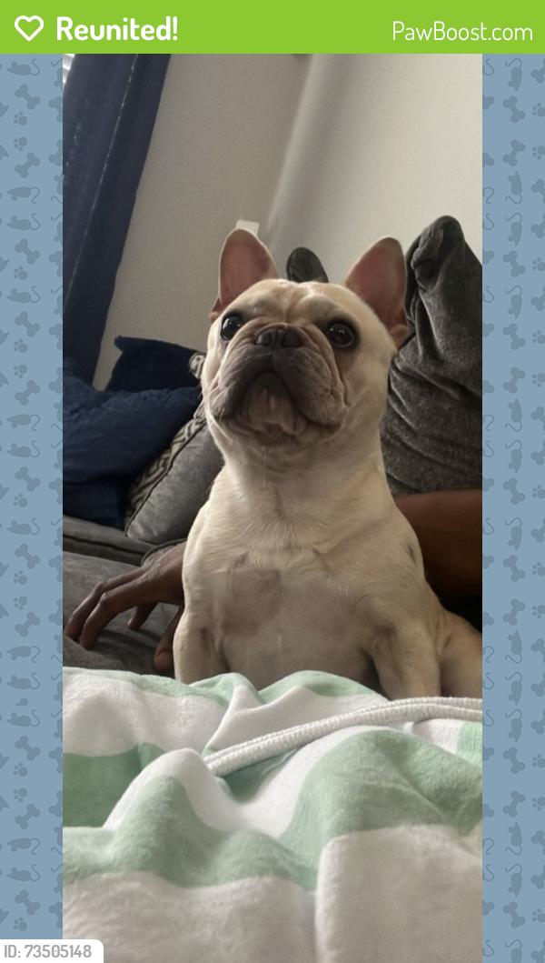 Reunited Male Dog last seen Winfield lakes, Fresno, TX 77545