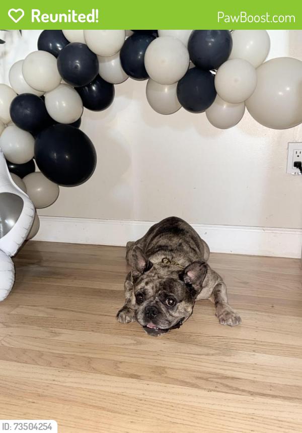 Reunited Male Dog last seen Edenvale, San Jose, CA 95111