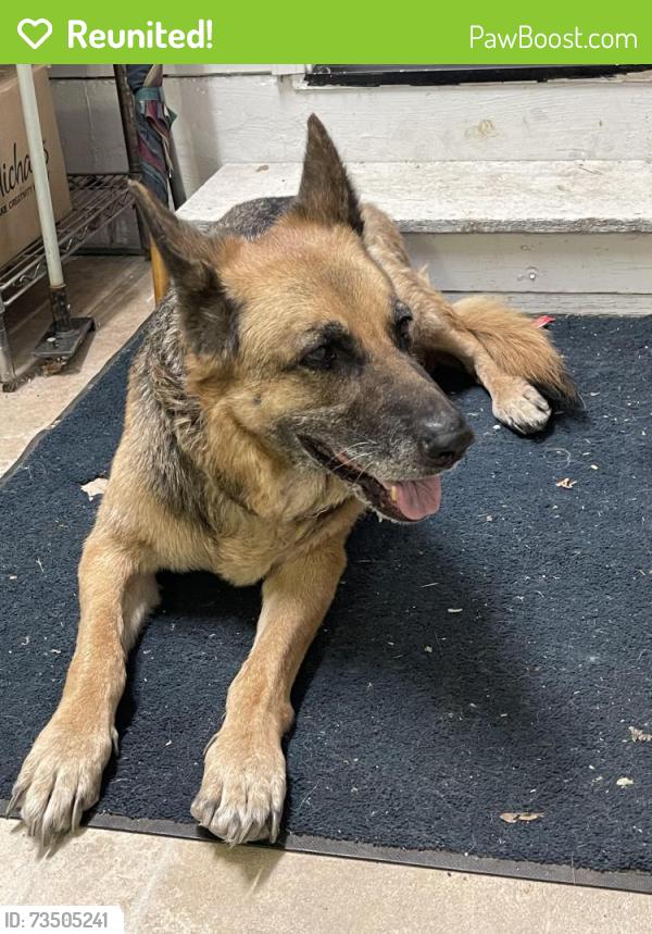 Reunited Male Dog last seen Baker Rd and Roxanna St, Placerville, CA 95667