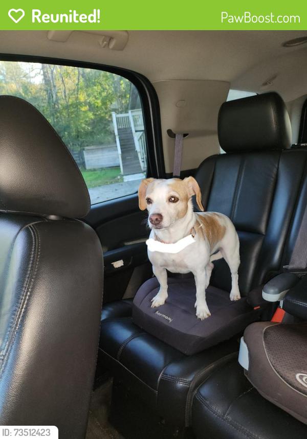 Reunited Female Dog last seen Creekside apmts, Cosby, TN 37722