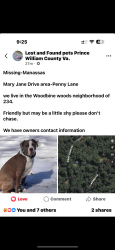 Reunited Male Dog last seen Marie Jane/ councelor near Ace Hardware off of Dumfries woodbine woods neighborhood, Manassas, VA 20112