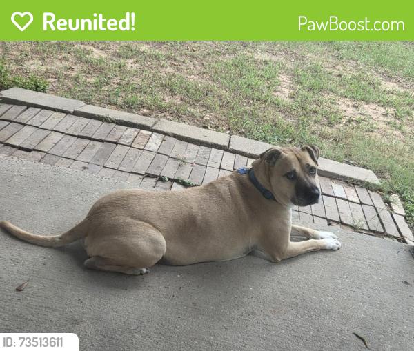 Reunited Male Dog last seen Near 249 and Pinehurst Dollar Tree, Pinehurst, TX 77362