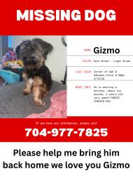 Reunited Male Dog last seen Corner of oak drive and oakdale rd in the abandoned bank, Charlotte, NC 28216