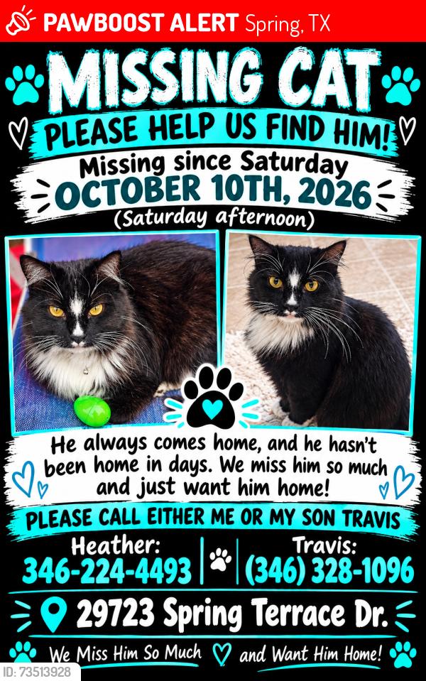 Lost Male Cat last seen Rayford and Aldine Westfield, Spring, TX 77386
