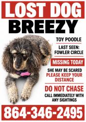 Reunited Female Dog last seen Fowler Circle, Greenville, SC 29662