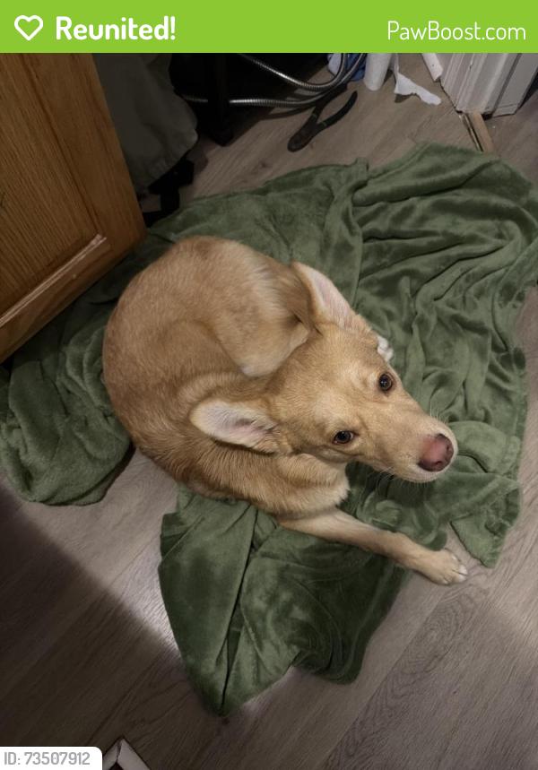 Reunited Female Dog last seen Nobles Mill Rd, North Carolina, USA, Lenoir County, NC 28525