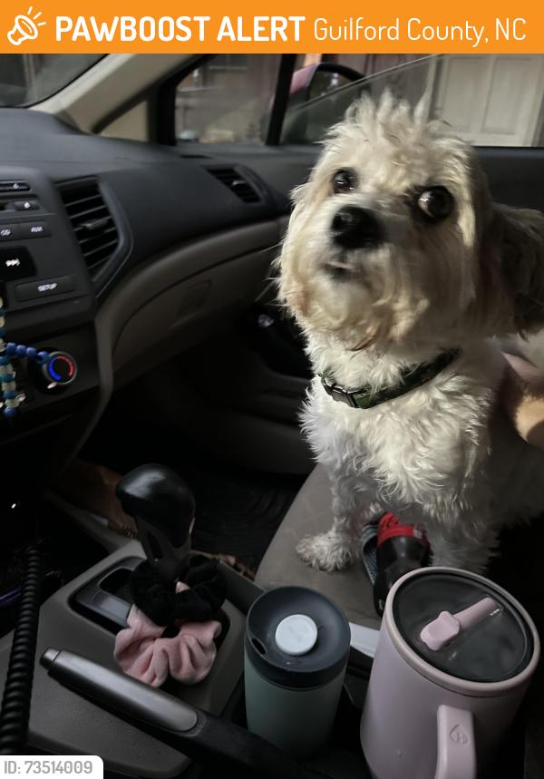 Found/Stray Female Dog last seen Andrews farm and McConnell, Guilford County, NC 27377