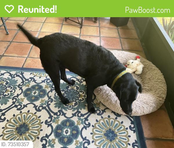 Reunited Female Dog last seen Columbus , 21st and 22nd, Alva, FL 33920