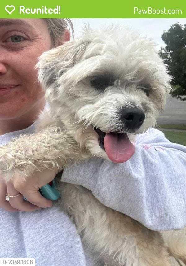 Reunited Female Dog last seen Princeton pike Church of God, Liberty Township, OH 45011