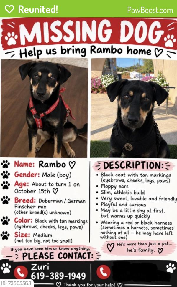 Reunited Male Dog last seen Idaho and citrus ave, Escondido, CA 92027