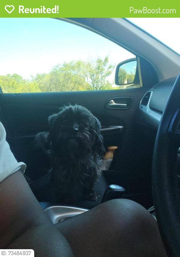 Reunited Female Dog last seen County Road 152 W, Bullard, TX 75757