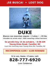 Reunited Male Dog last seen Smoky park highway, Candler, NC 28715