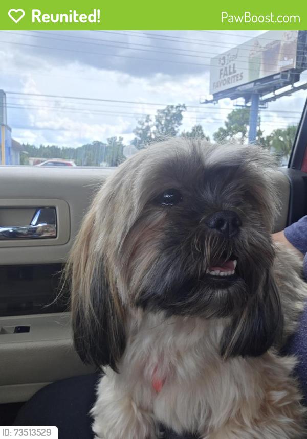 Reunited Female Dog last seen Votaw and thompson, Apopka, FL 32703