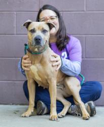 Shelter Stray Female Dog last seen Near RENEE DR, 30035, GA, 3280 Chamblee Dunwoody Rd, Chamblee, GA 30341, USA