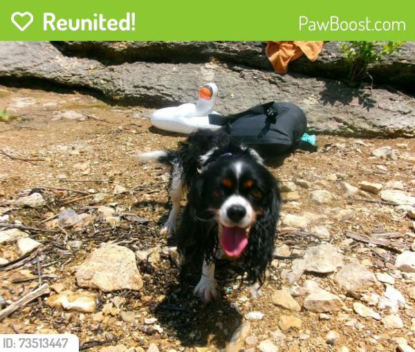 Reunited Female Dog last seen Hewitt elementary, Waco, TX 76712