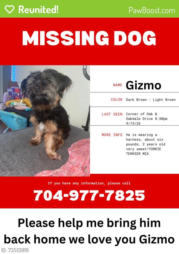 Reunited Male Dog last seen Corner of oak drive and oakdale rd in the abandoned bank, Charlotte, NC 28216