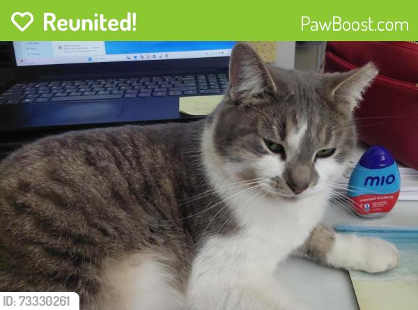 Reunited Male Cat last seen Riverbend Pkwy & Allisonville Rd, Indianapolis, IN 46250