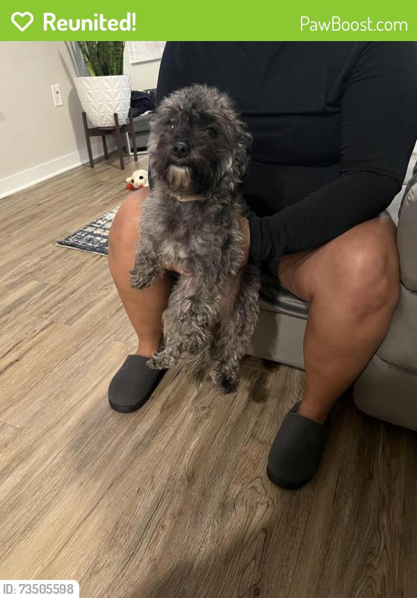 Reunited Female Dog last seen Tuscan Lane, Fort Worth, TX 76123