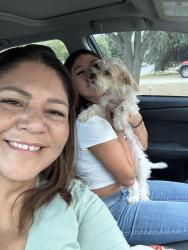 Reunited Female Dog last seen Lone Star Blvd, Hutto, TX 78634