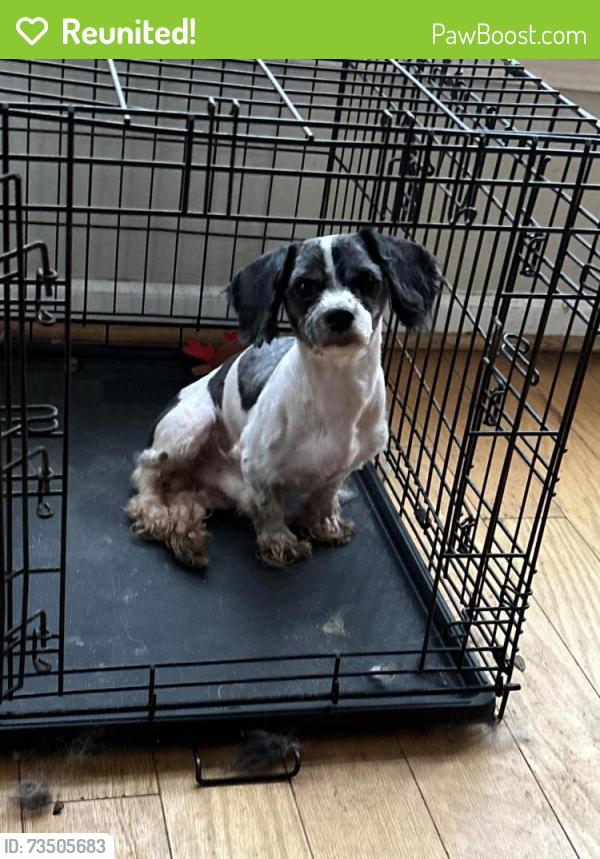 Reunited Male Dog last seen Roberta crossing dr, Concord, NC 28027