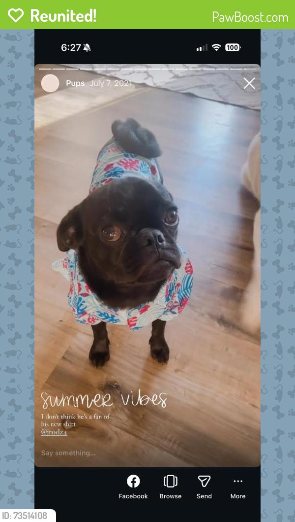 Reunited Male Dog last seen San Bernardino, CA, USA, San Bernardino, CA 92401
