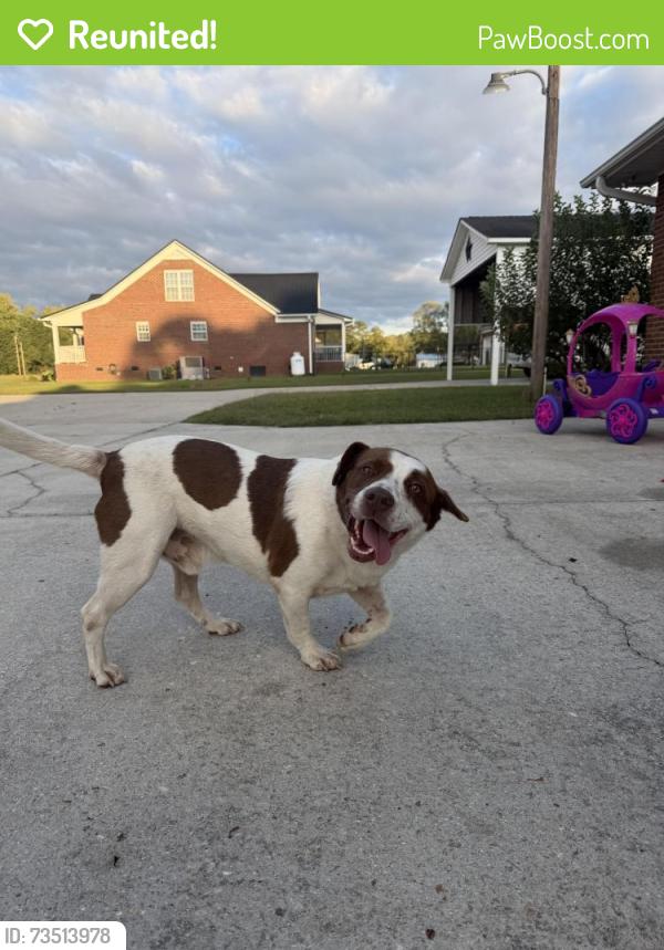 Reunited Male Dog last seen By the Shriners club, Hope Mills, NC 28348