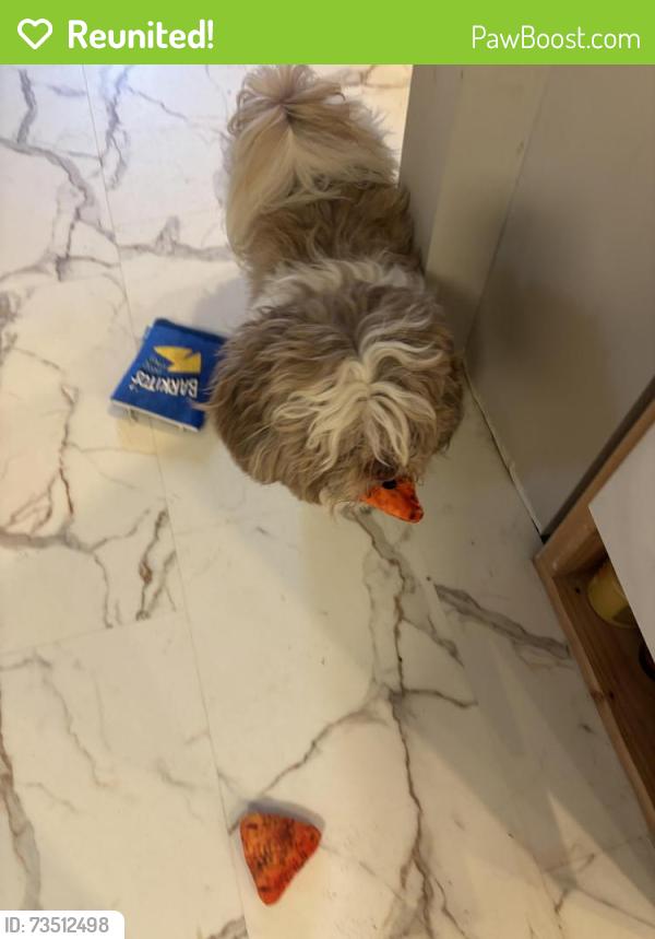 Reunited Male Dog last seen 4th street and port reading, Woodbridge Township, NJ 07064