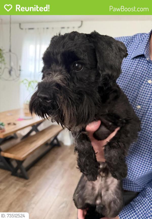 Reunited Male Dog last seen Becker Road, Port St. Lucie, FL 34986