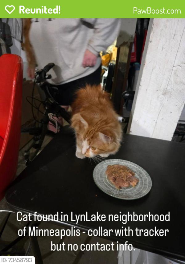Reunited Unknown Cat last seen Lake and Harriet, Minneapolis, MN 55408