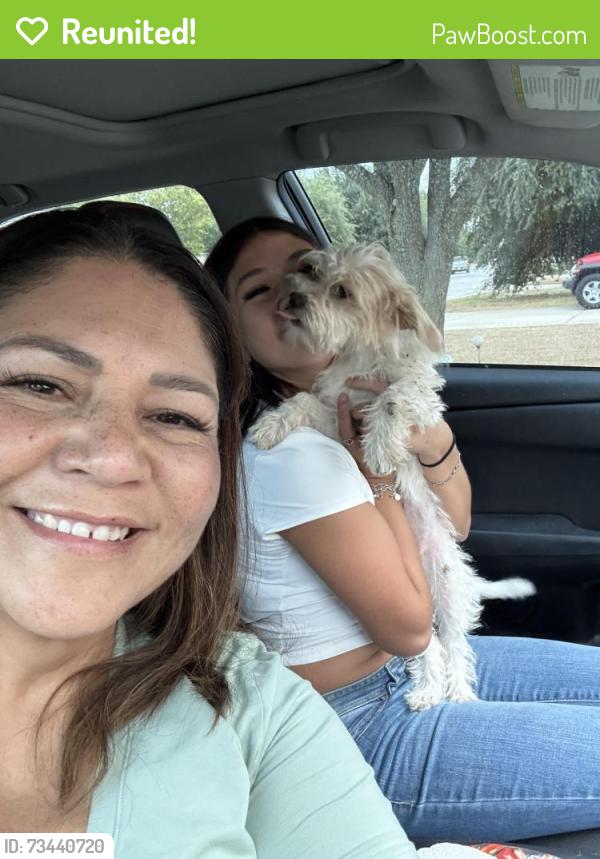 Reunited Female Dog last seen Lone Star Blvd, Hutto, TX 78634