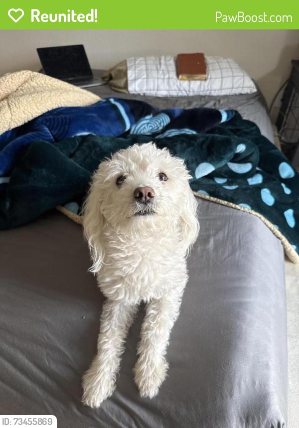 Reunited Male Dog last seen Near west Donna drive, Merced, CA 95348