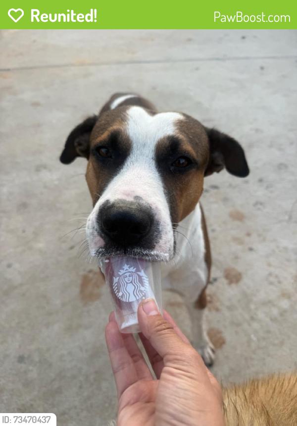 Reunited Male Dog last seen Tanner Rd, Houston, TX 77041, USA, Houston, TX 77041