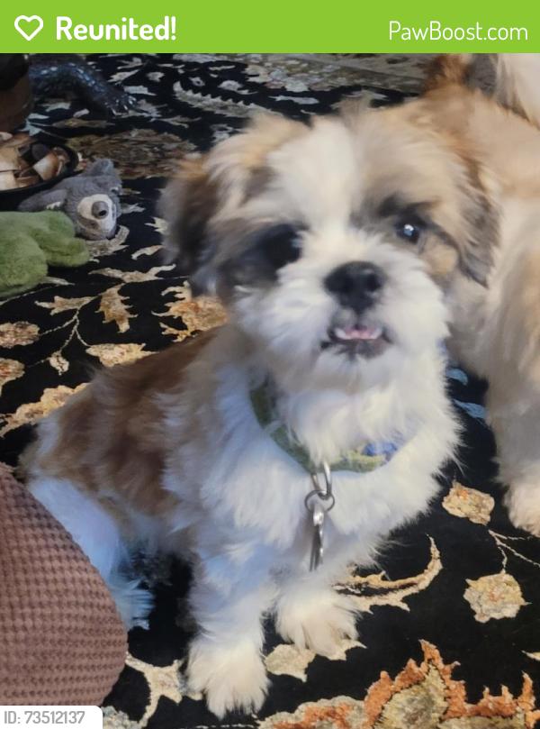 Reunited Male Dog last seen East Goshen Park, Malvern, PA 19355