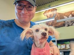 Found/Stray Male Dog last seen Ten Ten & Kildaire Farm Rd., Cary, NC 27518