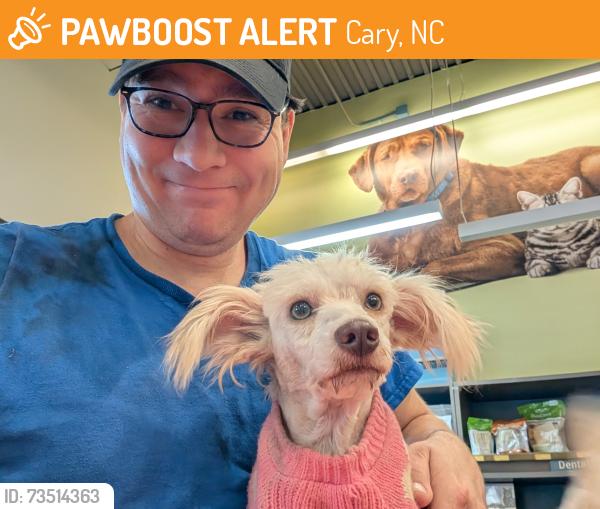 Found/Stray Male Dog last seen Ten Ten & Kildaire Farm Rd., Cary, NC 27518