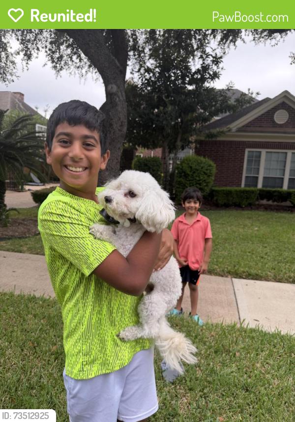 Reunited Male Dog last seen Brightwater neighborhood, Missouri City, TX 77459