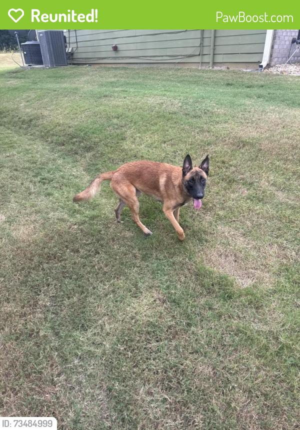 Reunited Male Dog last seen Brittany park ln, DeKalb County, GA 30294