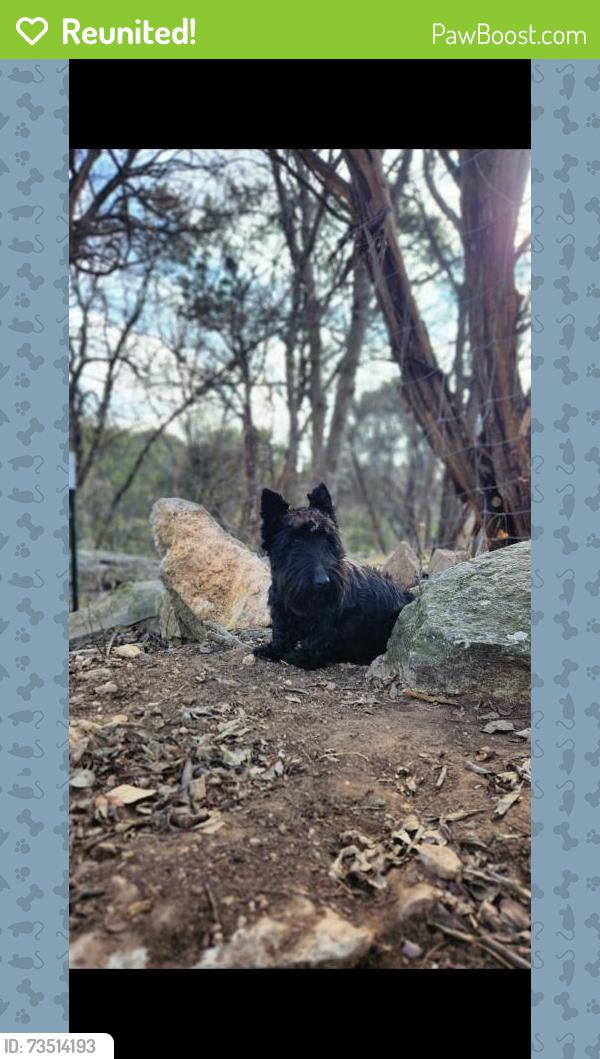 Reunited Female Dog last seen Near Woodcrest CT, Granbury, TX 76048