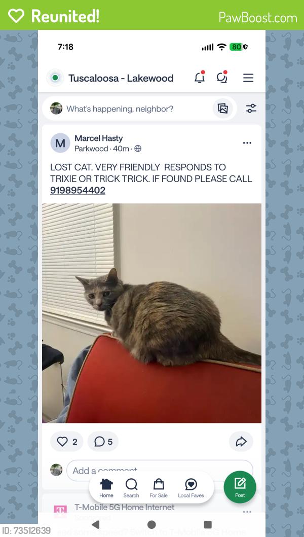 Reunited Female Cat last seen across from Parkwood Elementary School, Durham, NC 27713